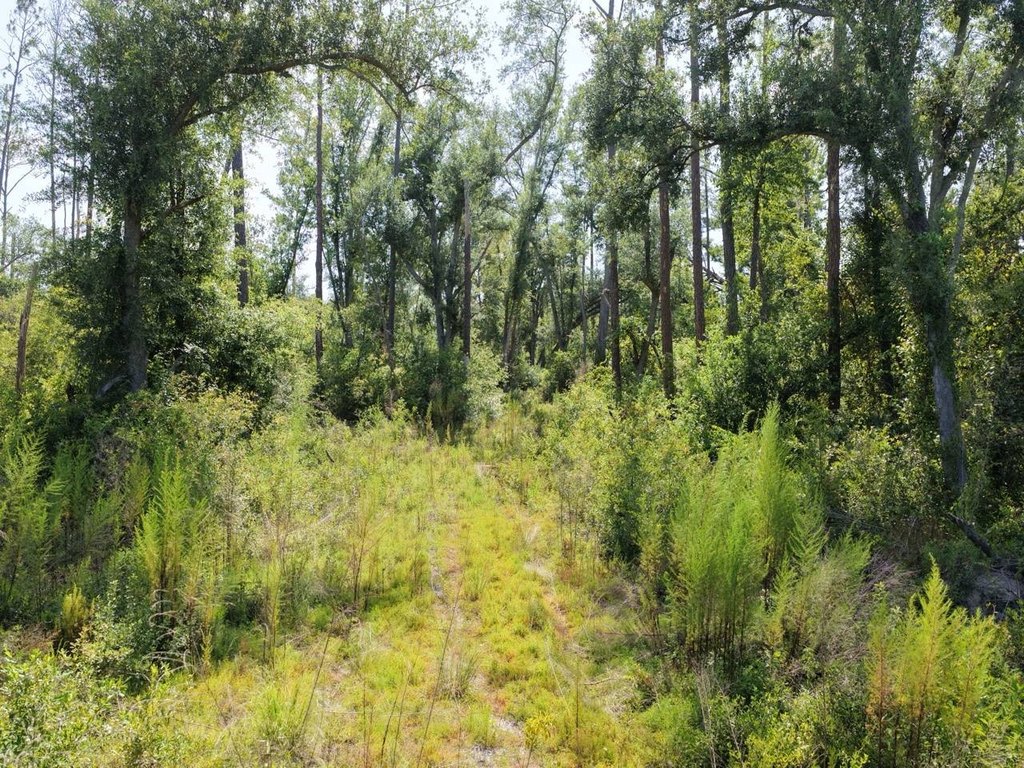 Picture 9
