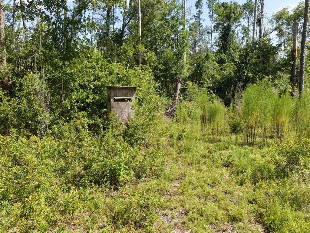 Picture 15