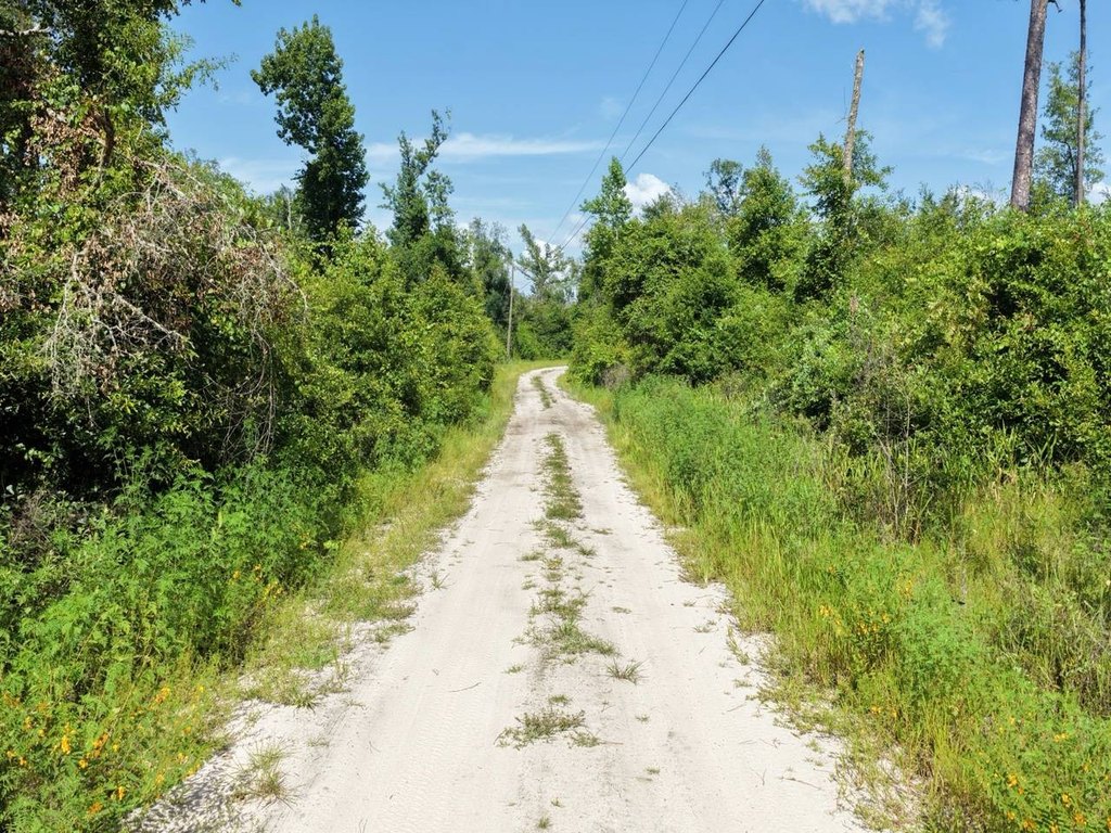 Picture 6