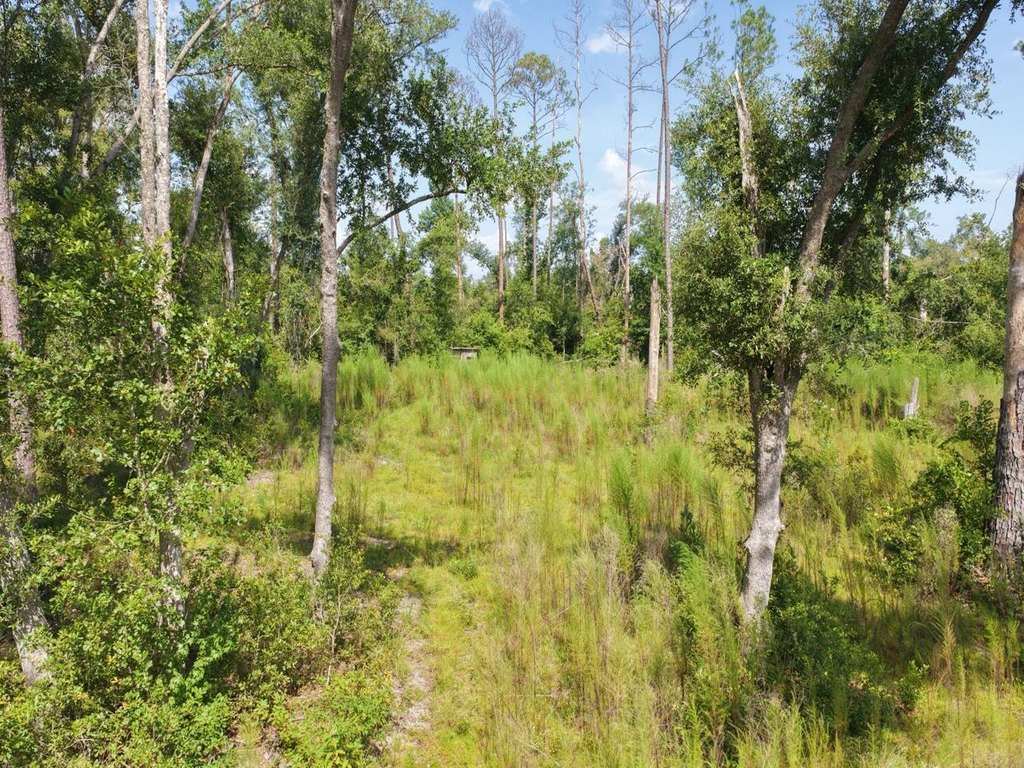 Picture 25