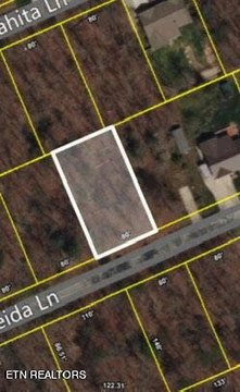 Land in Lake Tansi Village