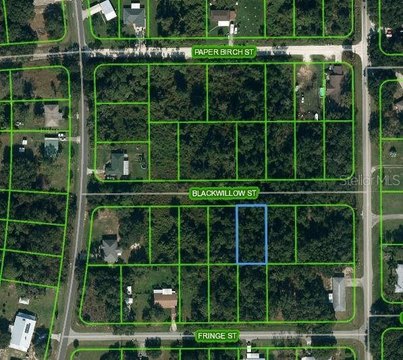 Land in Lake Placid, FL