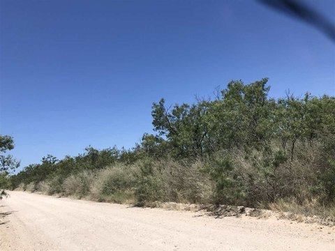 Agricultural Land Tract with Seller Financing
