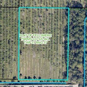 LAND - Fellsmere, FL