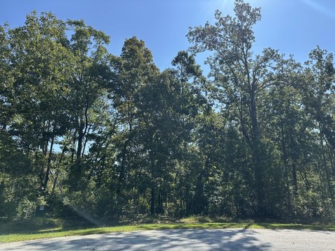 Lakefront Lot in Serenity Pointe