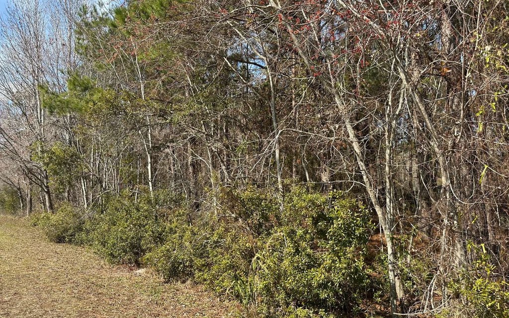 Picture 4