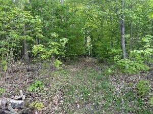 Land, Cheboygan, MI
