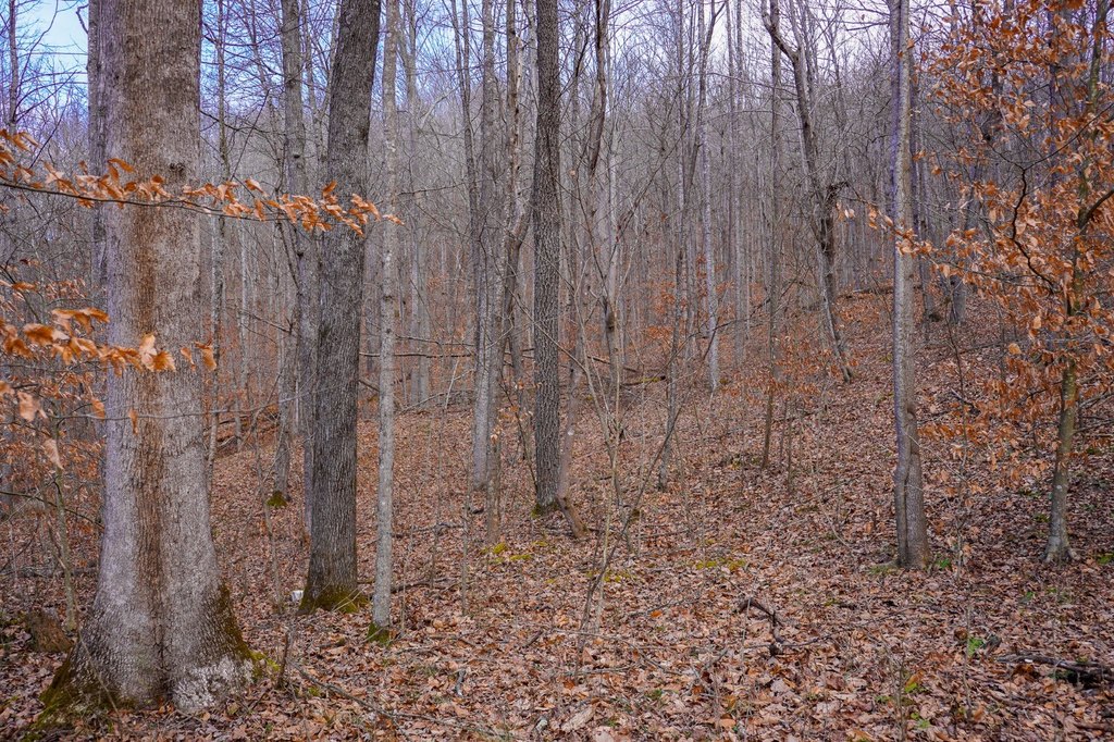 Picture 59