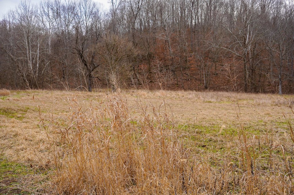 Picture 41