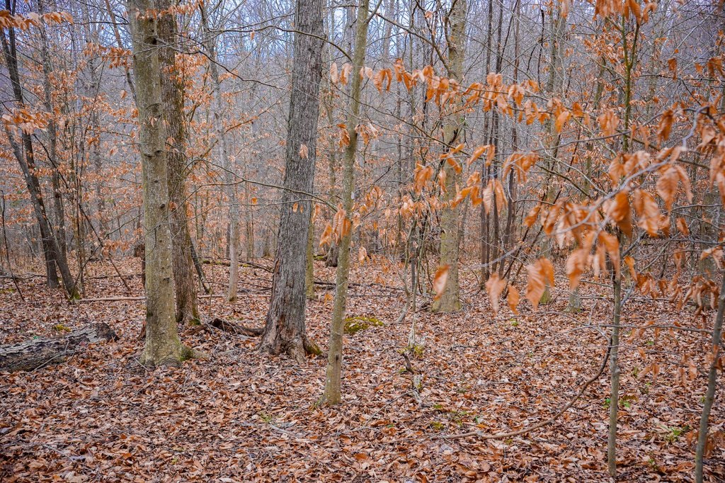 Picture 49