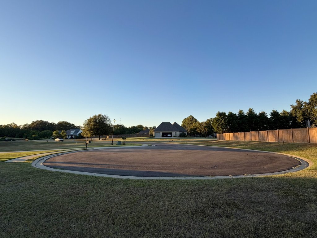 Picture 15