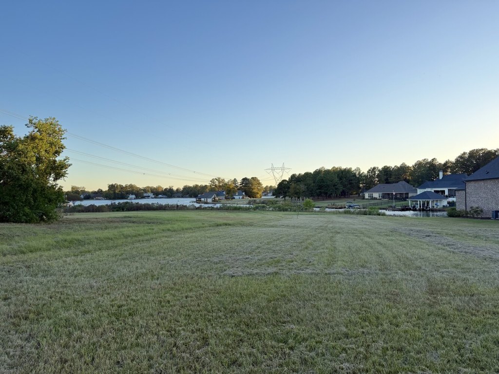 Picture 4