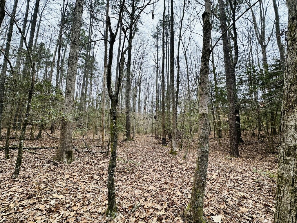 Picture 34