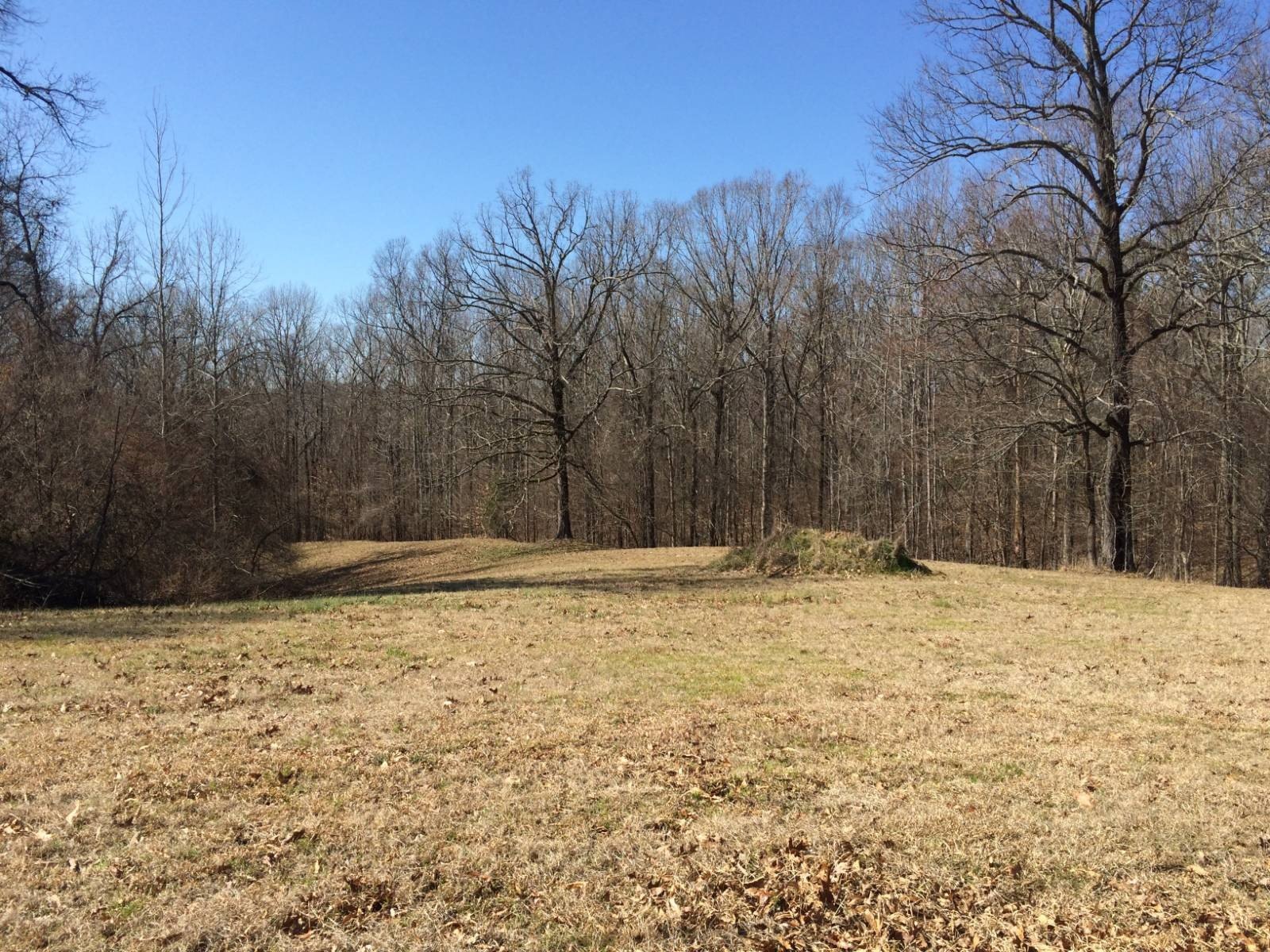 Land For Sale in Greenwood