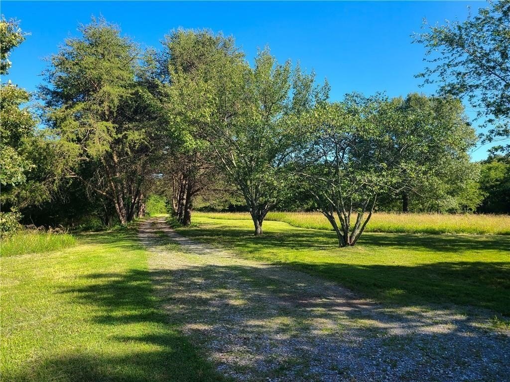 Picture 21