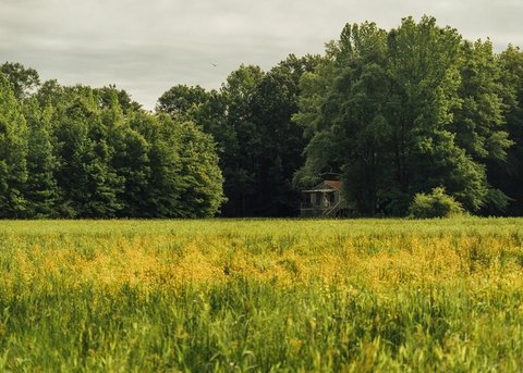 Recreational Land Near Ole Miss