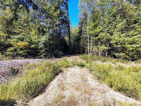 Versatile Lot in Milbridge, ME