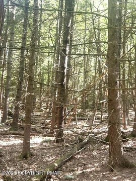 Land, Cresco, PA