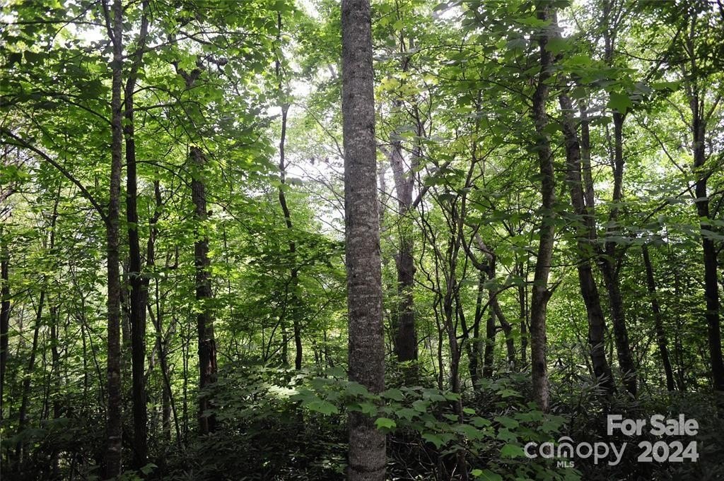 Black Mountain Land For Sale