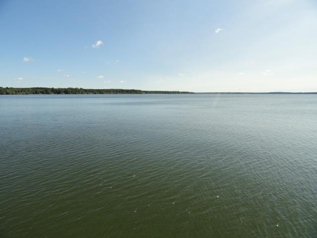 Picture 56