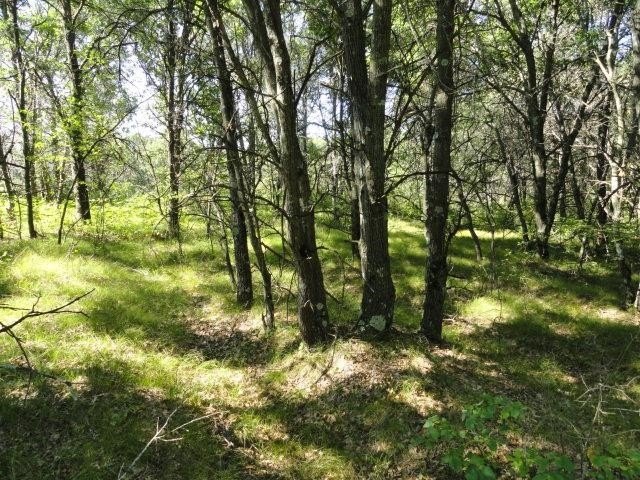 Picture 37