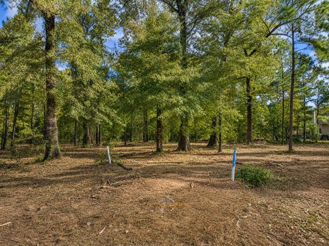 Land, Shreveport, LA