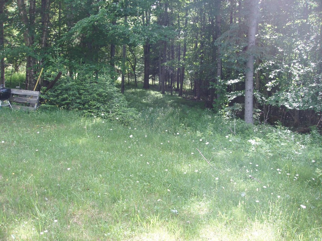 Picture 14