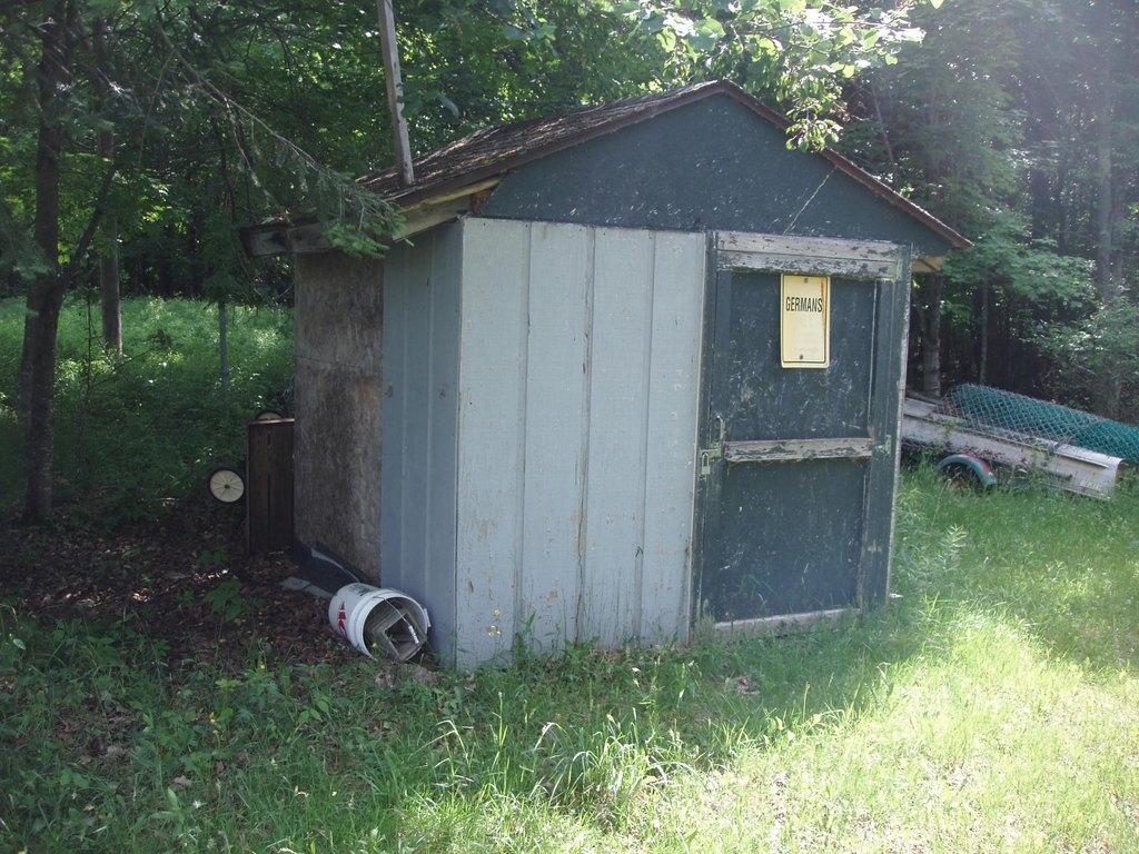 Picture 15
