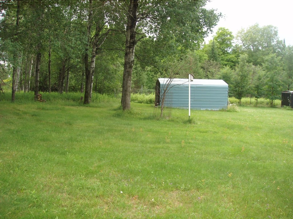 Picture 4