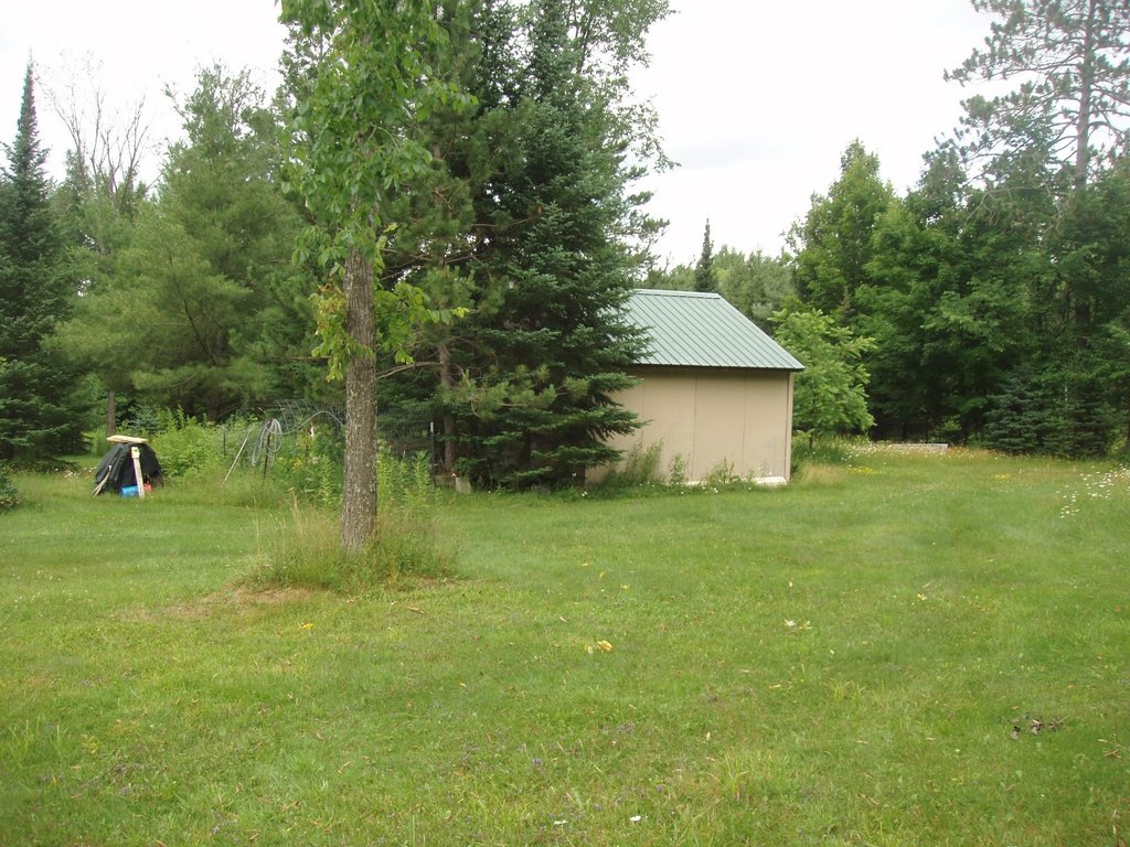 Picture 5
