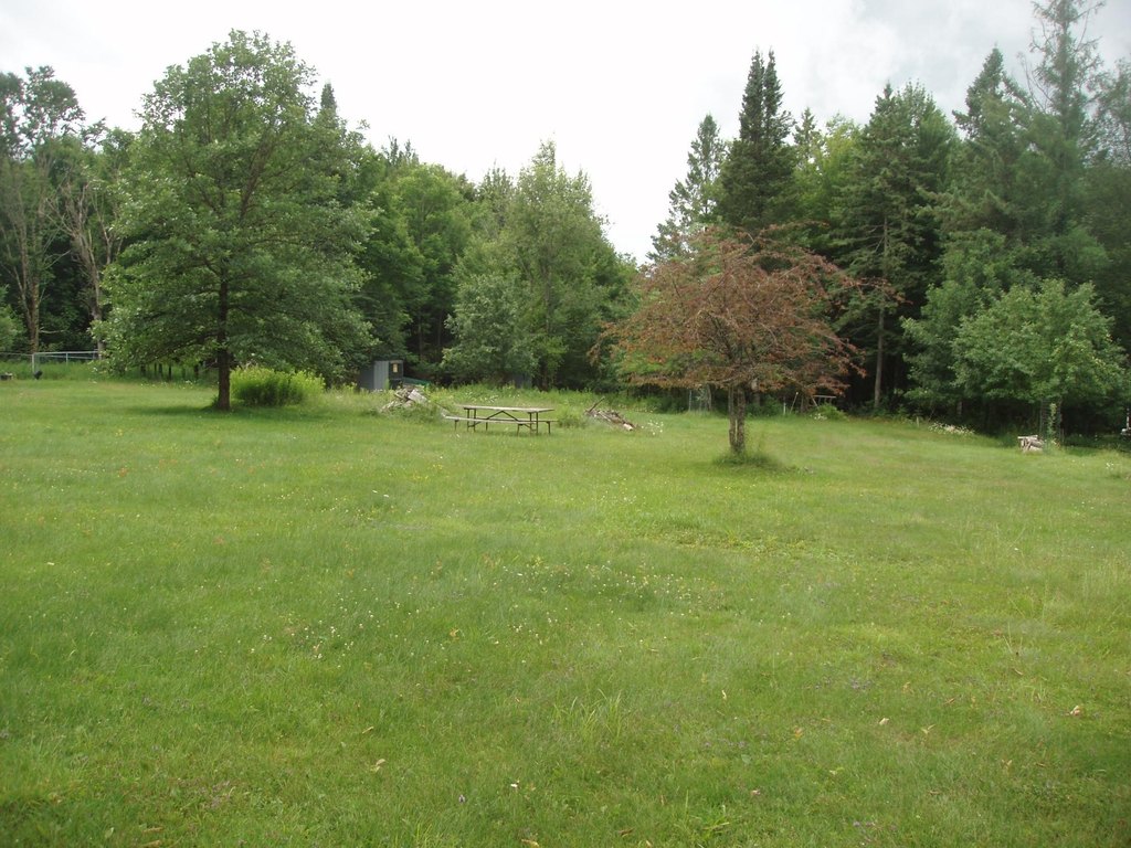 Picture 7