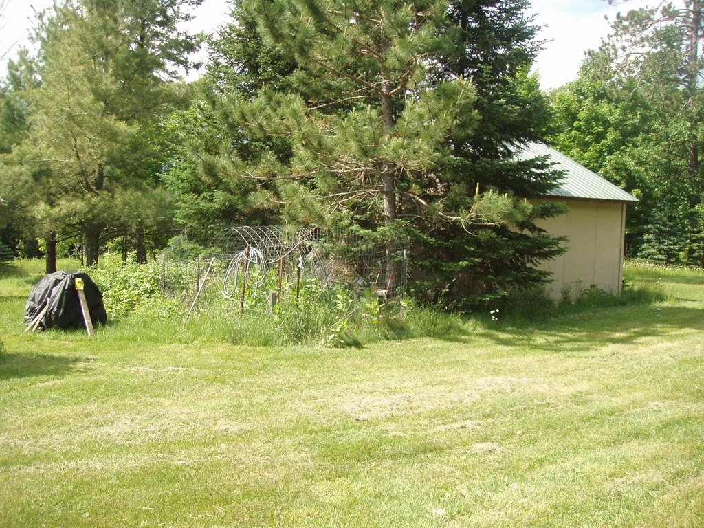 Picture 9
