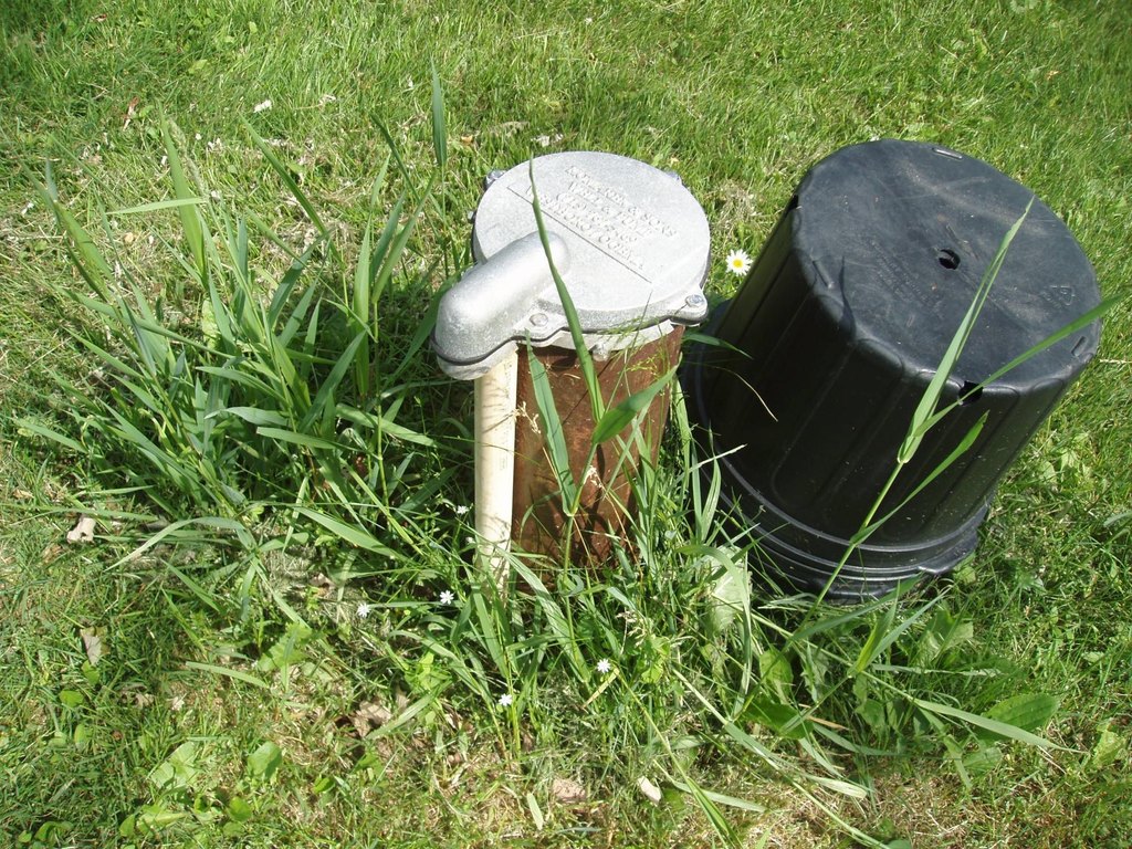 Picture 26