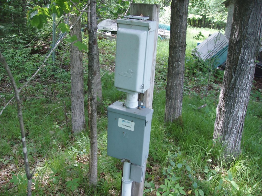 Picture 24