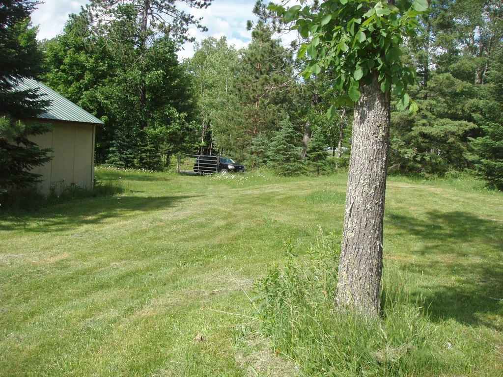 Picture 8