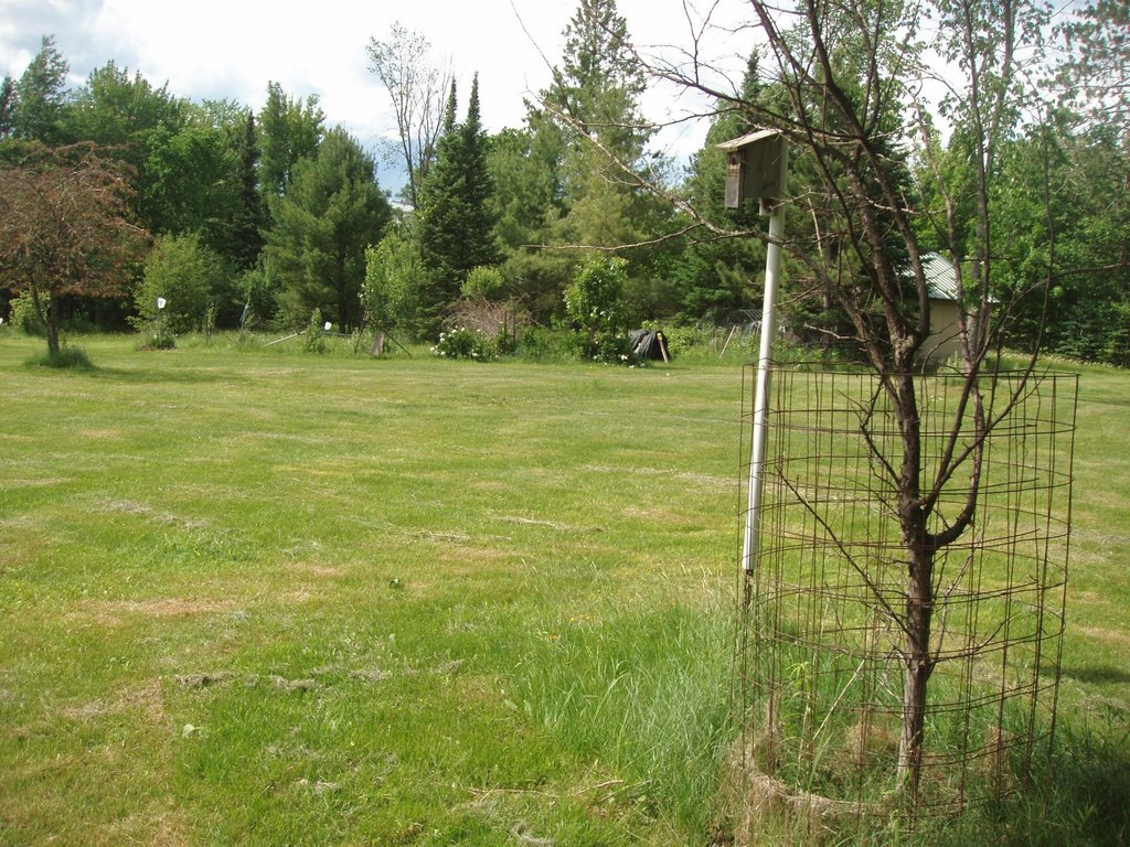 Picture 2