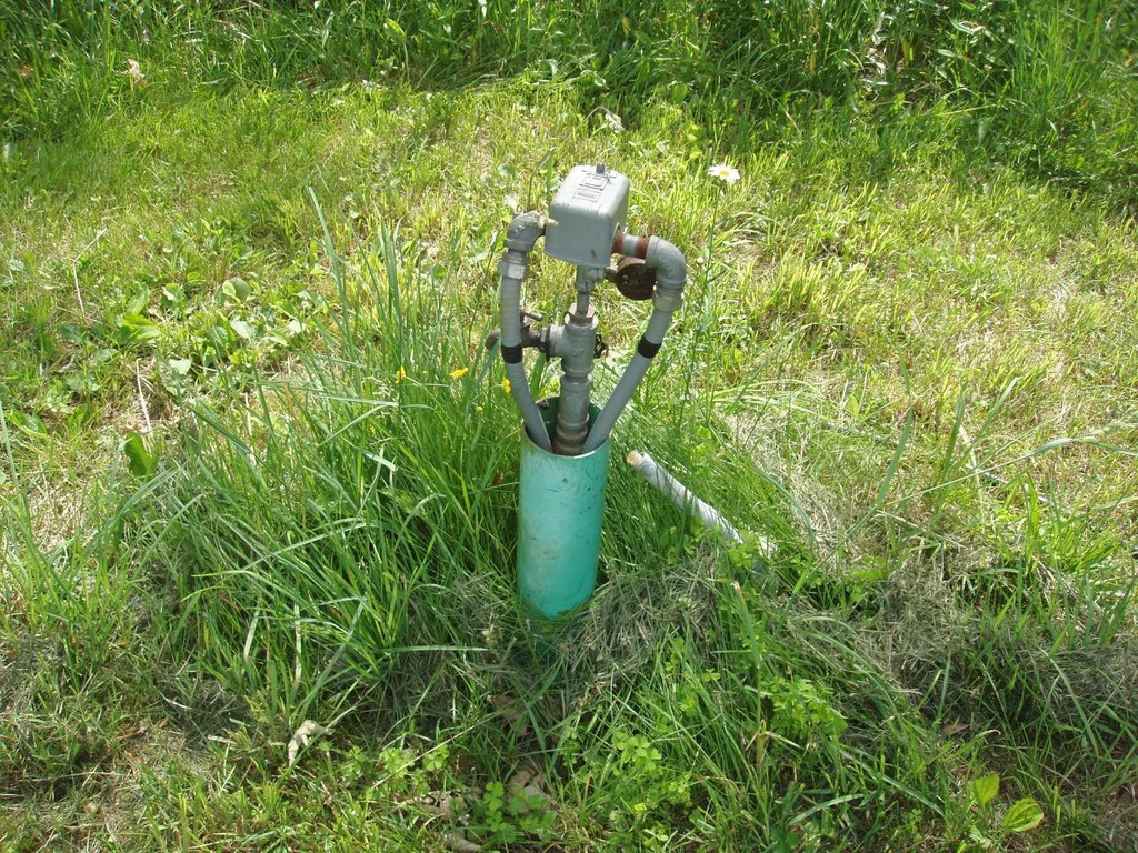 Picture 28