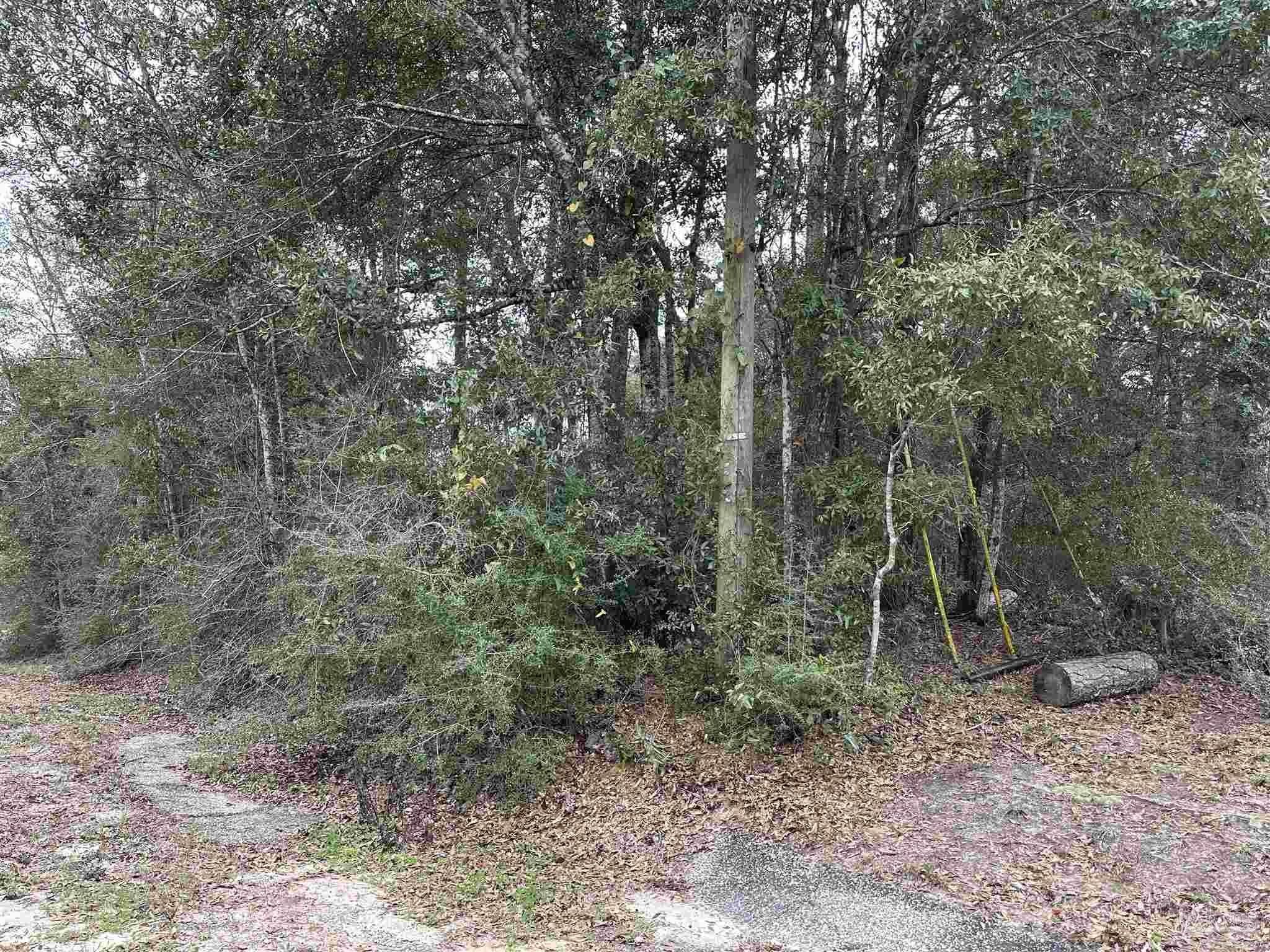 Pace, FL Land For Sale