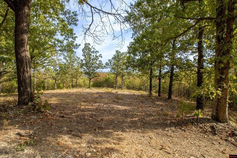 LAND, Mountain Home, AR