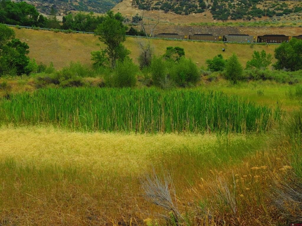 Picture 9