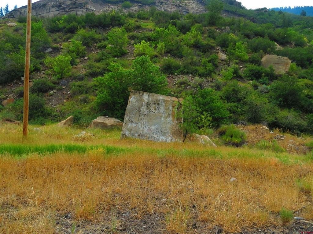 Picture 7