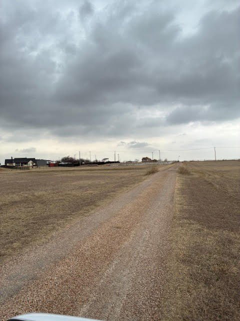 Picture 8