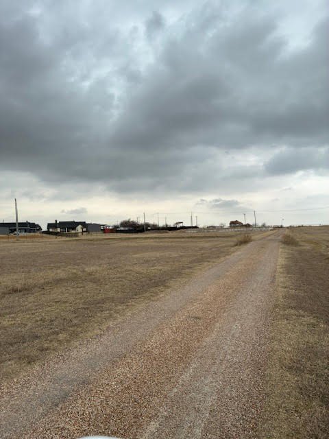 Picture 15