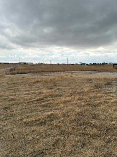 Picture 14