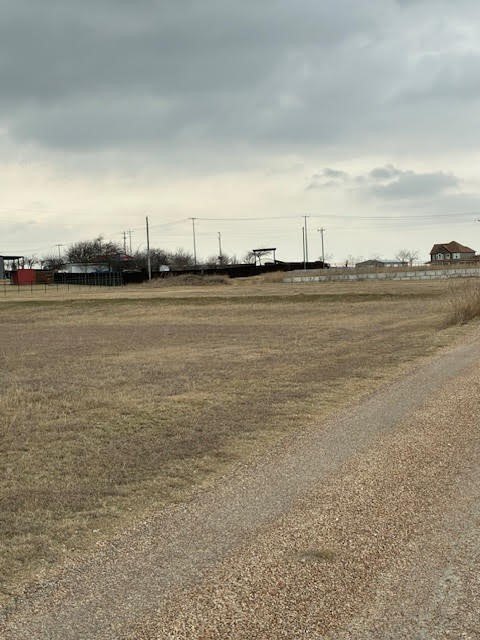 Picture 10
