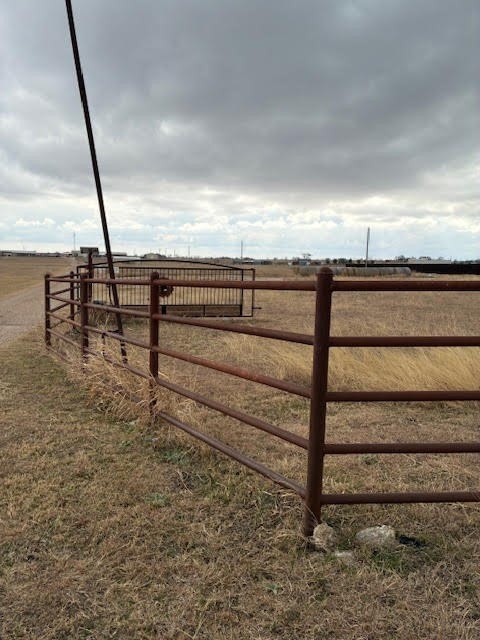Picture 6