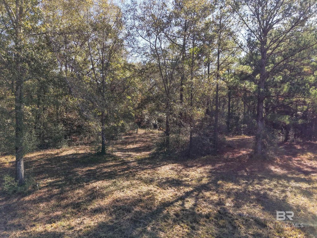 Picture 22