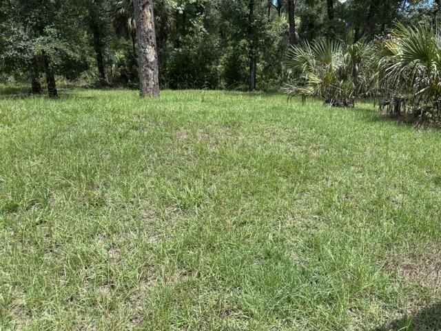 Picture 5