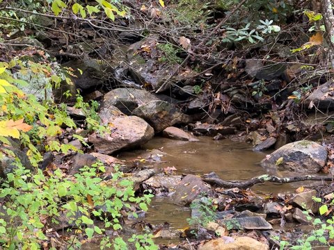 6.022 Acres in Independence, VA