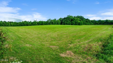 A-1 Zoned Land with Well